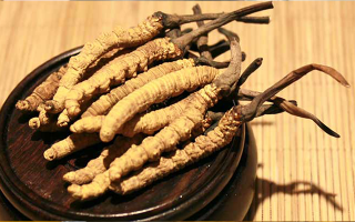 火眼金睛：教你辨别冬虫夏草真假