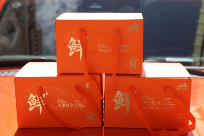 当冬虫夏草邂逅橘色包装：奢华与文化的交融