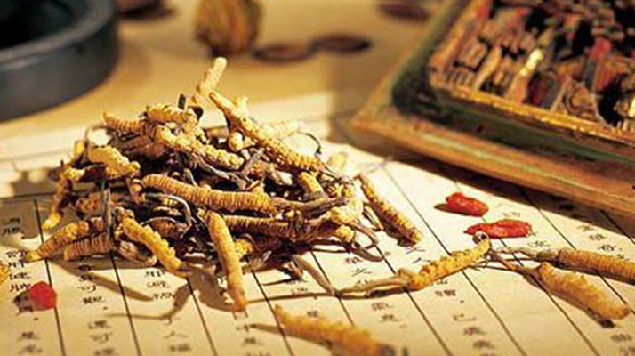 同仁堂健康冬虫夏草：传承品质，馈赠健康