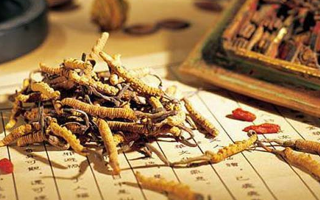 同仁堂健康冬虫夏草：传承品质，馈赠健康