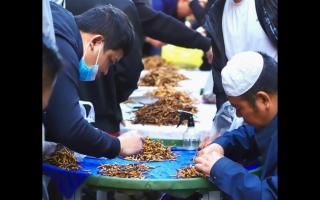 西宁冬虫夏草交易中心：虫草贸易的核心枢纽