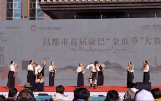 昌都市举办首届康巴“金虫草”大赛