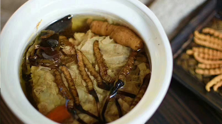 吃新鲜冬虫夏草最佳吃法