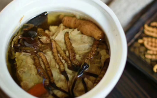新鲜冬虫夏草的食用指南：解锁滋补新方式​ ​ ​ ​