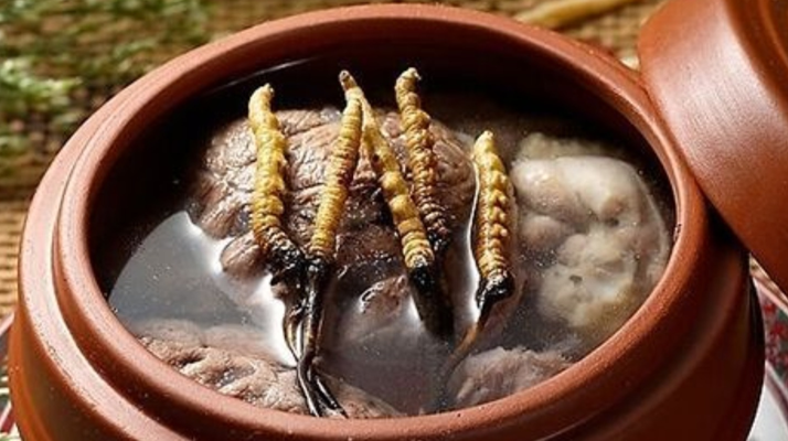 鲜冬虫夏草吃多会上火吗？一文解析真相