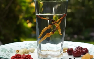 冬虫夏草泡酒全攻略：千年药香淬琼浆