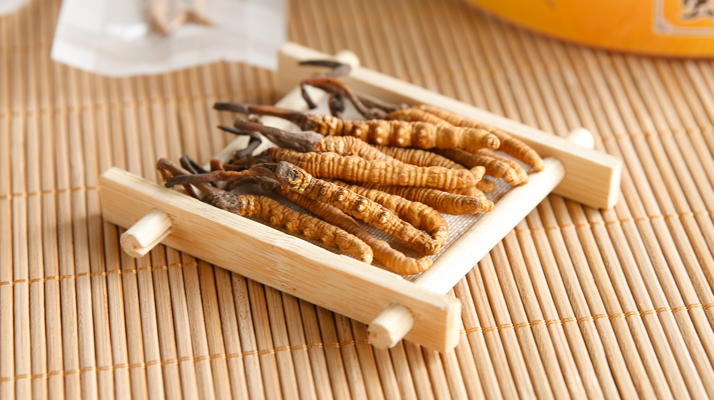 什么地方冬虫夏草最正宗