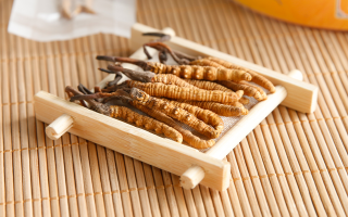 什么地方冬虫夏草最正宗