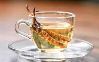 一杯虫草水，健康新滋味：冬虫夏草泡水喝的奇妙功效