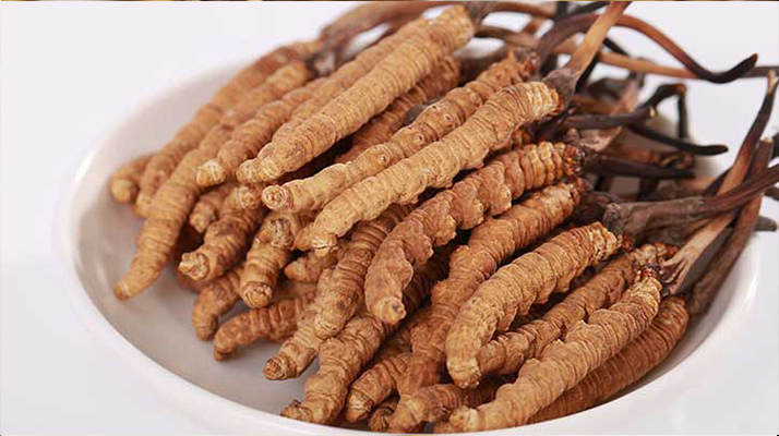 冬虫夏草煎水每次几根