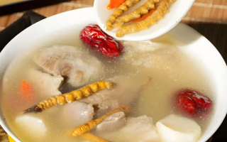 冬虫夏草鱼丸汤怎么做