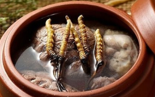 冬虫夏草炖鸡能放多久