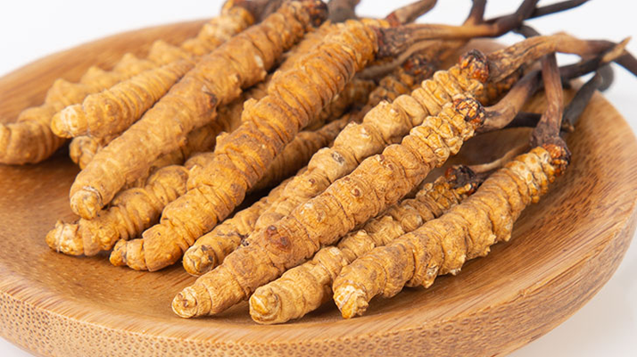 在西藏，冬虫夏草真的触手可得？