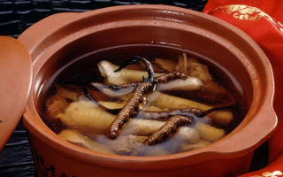 糖尿病可服用冬虫夏草吗？科学解析其调理价值与注意事项