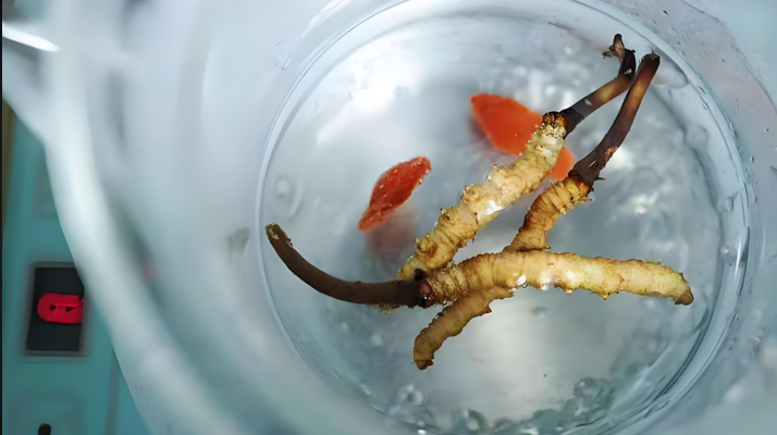 人参冬虫夏草枸杞泡酒：古法酿就的滋补佳酿