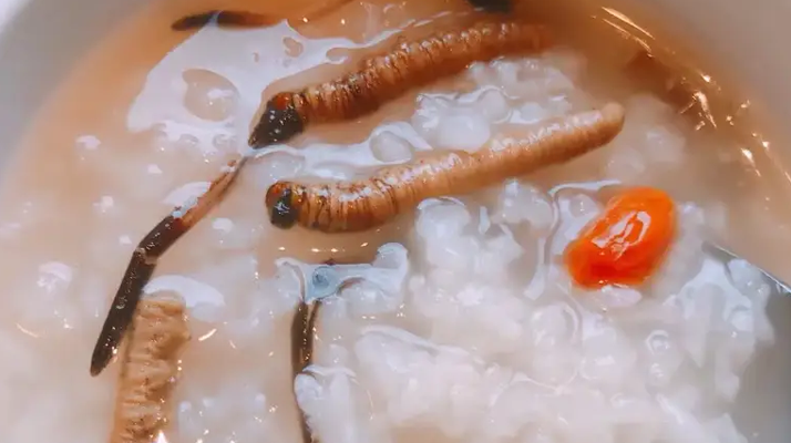 冬虫夏草适合哪些人群？精准匹配与禁忌提醒