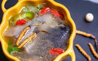 野生冬虫夏草：副作用风险需理性看待