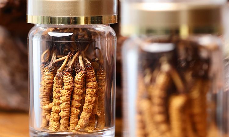 送冬虫夏草给男孩子好吗 