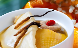 黄芪能和西藏那曲的冬虫夏草一起炖吗？