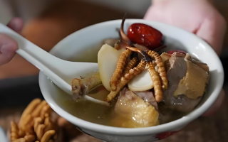 冬虫夏草和什么一起炖可以治咳嗽？