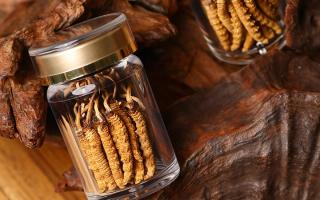 冬虫夏草养生指南：分清滋补功效，避开养生误区