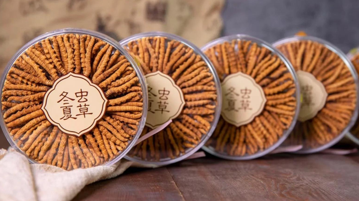 东强堂冬虫夏草储存防潮标准化操作清单