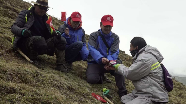 东强堂冬虫夏草的采挖时间和注意事项