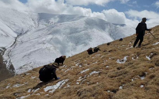 个人采集证 + 企业收购许可的申请材料清单与办理时间表