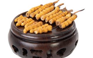 冬虫夏草的头期断草好吗？有没有营养价值？