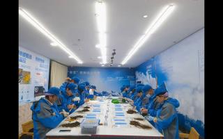 新挖虫草加工流程的标准化 SOP 文档