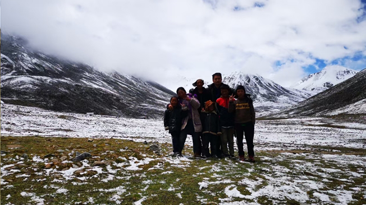 核心产区冬虫夏草溯源检测项目清单