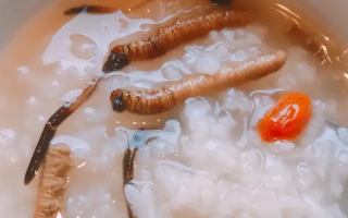 东强堂科普：冬虫夏草煮粥的步骤