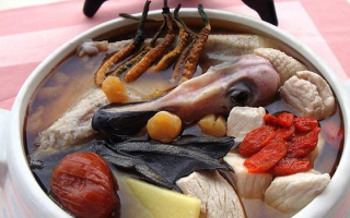 鲜冬虫夏草老鸭汤的做法