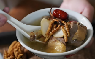  冬虫夏草和什么食材搭配煲汤比较好？