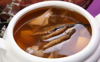 东强堂虫草清炖团鱼：秋冬滋补硬菜，一口鲜醇养身心