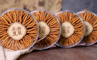 冬虫夏草价格暴跌真相：藏农神草告诉你，正宗那曲虫草为何“价稳质优”