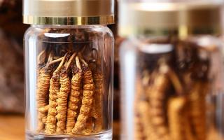 正宗冬虫夏草哪家便宜？——教你选对低价正品渠道