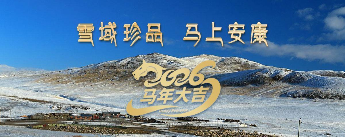 雪域高原藏珍品，2026愿您马上安康——来自西藏那曲虫草网的新春祝福