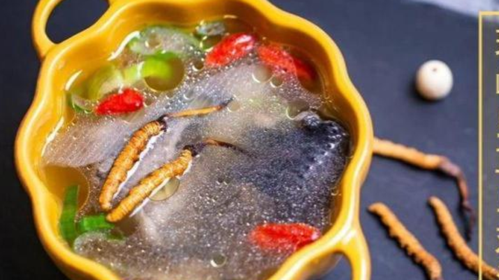 冬虫夏草保存期多久