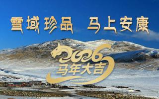 雪域高原藏珍品，2026愿您马上安康——来自西藏那曲虫草网的新春祝福