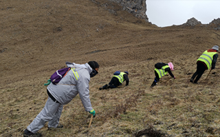 深耕那曲雪域，甄选正宗好草——2026那曲冬虫夏草优质品牌盘点
