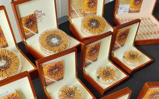 2026年西藏那曲新鲜冬虫夏草正品价格详解