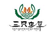 三只虫草