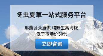 西藏那曲虫草网一站式服务平台